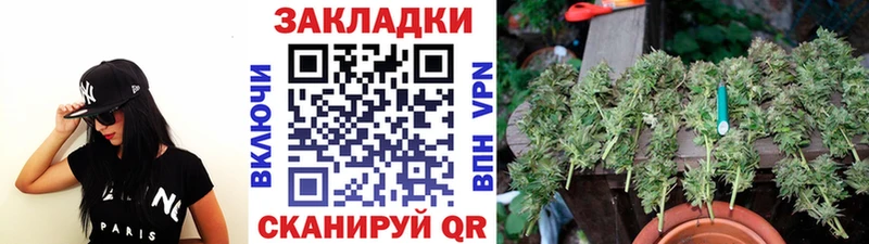 Какие есть наркотики Анжеро-Судженск Конопля  COCAIN  Амфетамин  Мефедрон  СК 