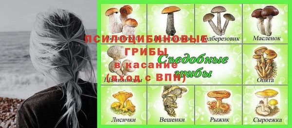 прущие грибы Алексеевка